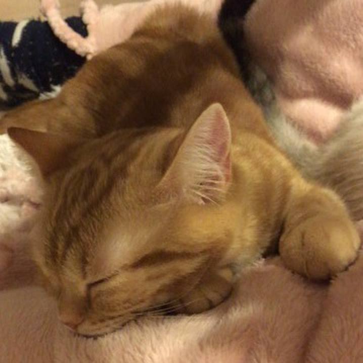 Ef057d58 f3c2 4930 b152 34ffd0b21c33