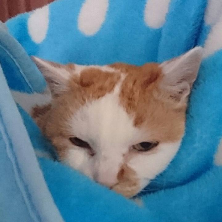 Ef068e14 edad 45b1 8949 acbf56c96c30