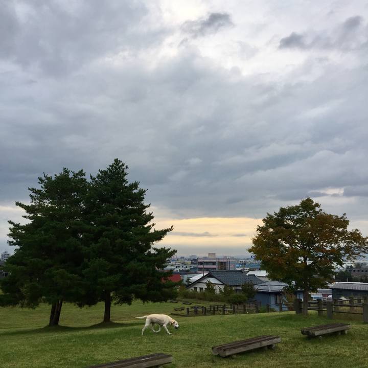 Ef072469 eb94 42b2 8265 476c77716170