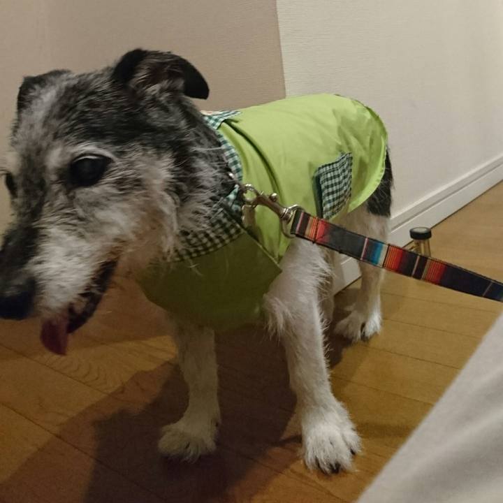 Ef07eccd 11cc 4206 8544 51dc730ec92d