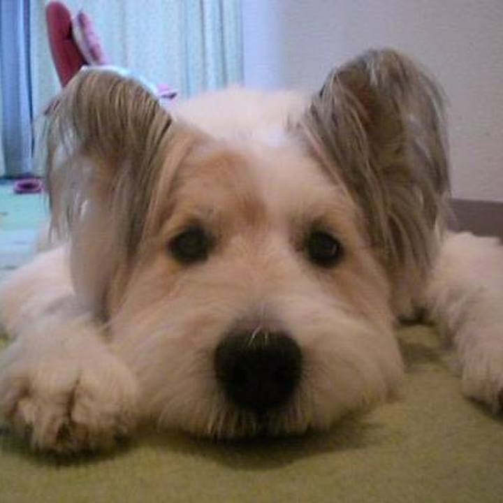 Ef08e211 39b8 4c0d b789 339451ce7e9a