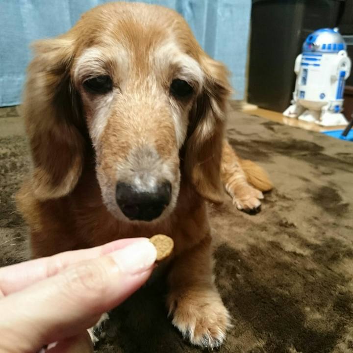 Ef08e9f1 7691 4f18 beea c8e3296eab8c