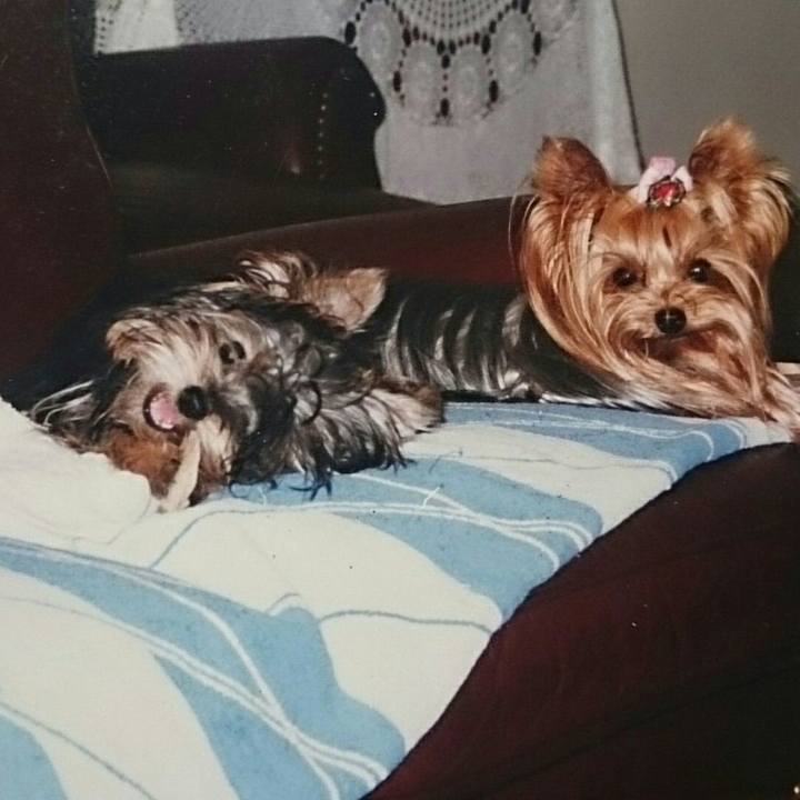 Ef096da4 2093 46cd 8cf7 e8966d084206