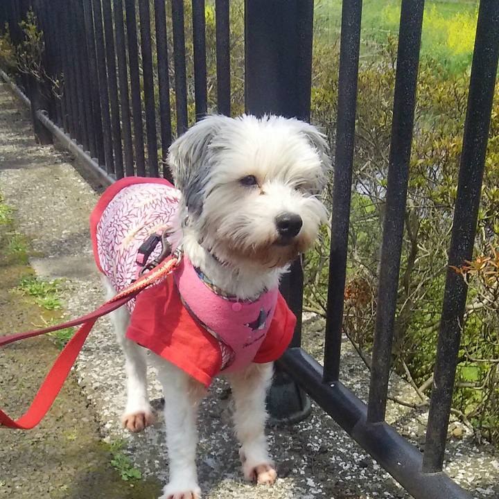 Ef0a0e2e de10 42a6 a674 cf9fd42aed63