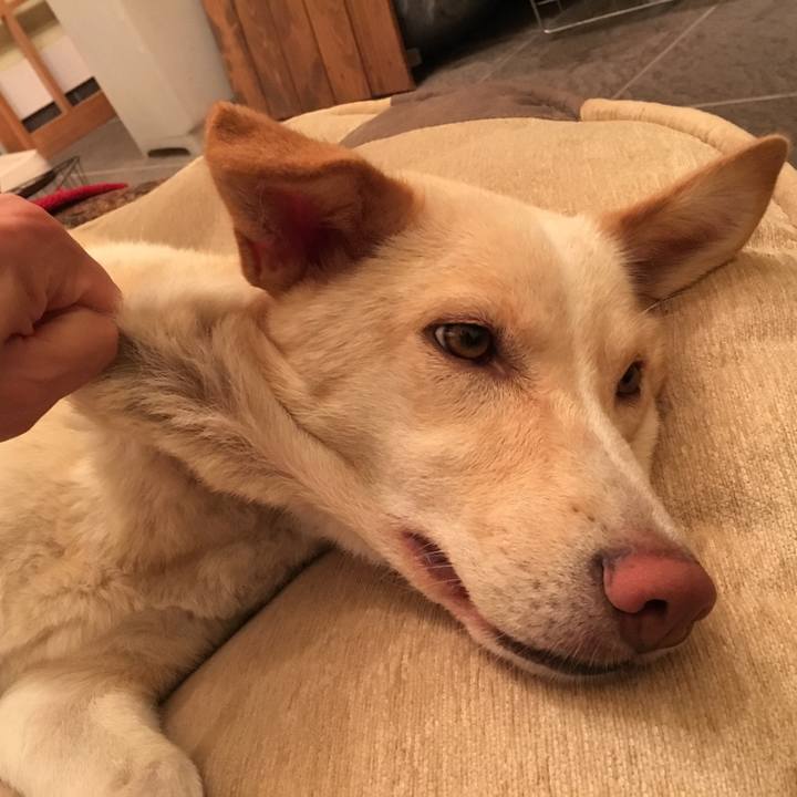 Ef0a50b9 4b1e 4074 ba1d c414a21033b5