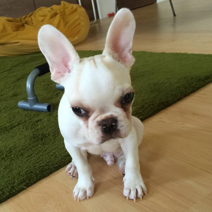 Ef0a6f18 9828 42a4 bdaa 8a14786bf99a