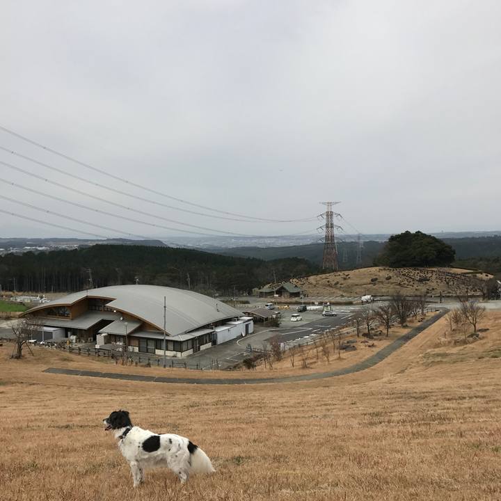 Ef0a8285 4dae 4a50 97b7 df6b4175eeaa