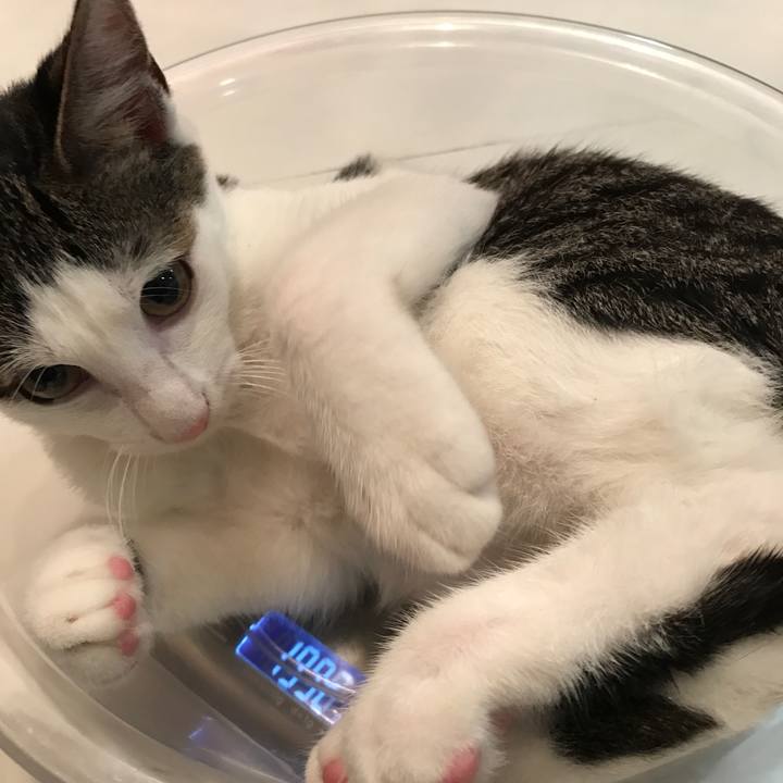 Ef0ad1db f410 44fe af14 49bbea45cd7d