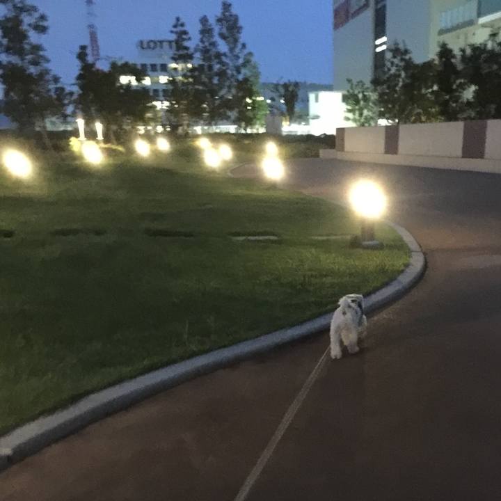 Ef0b5ad8 29b6 42be 80ee ada43331674c