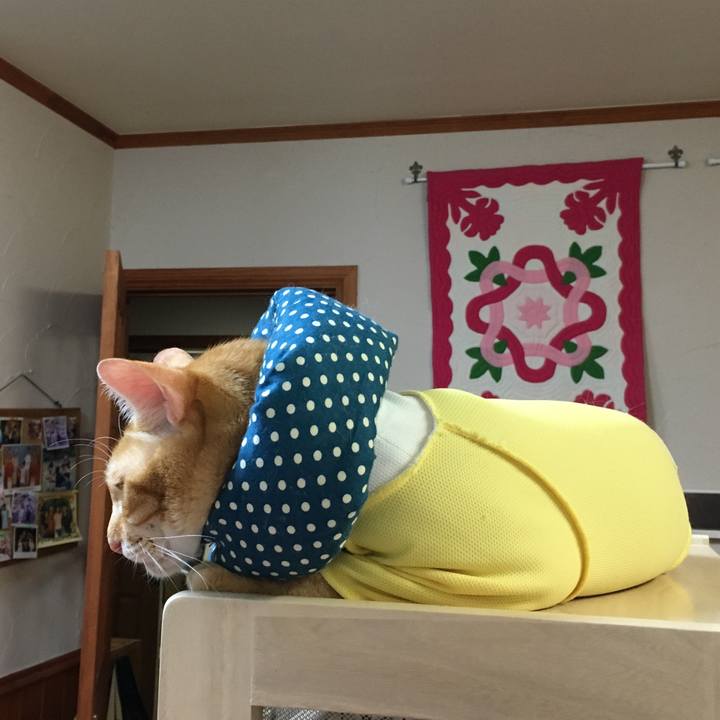 Ef0bcad9 dff1 47a1 b389 a927dbb9cc33