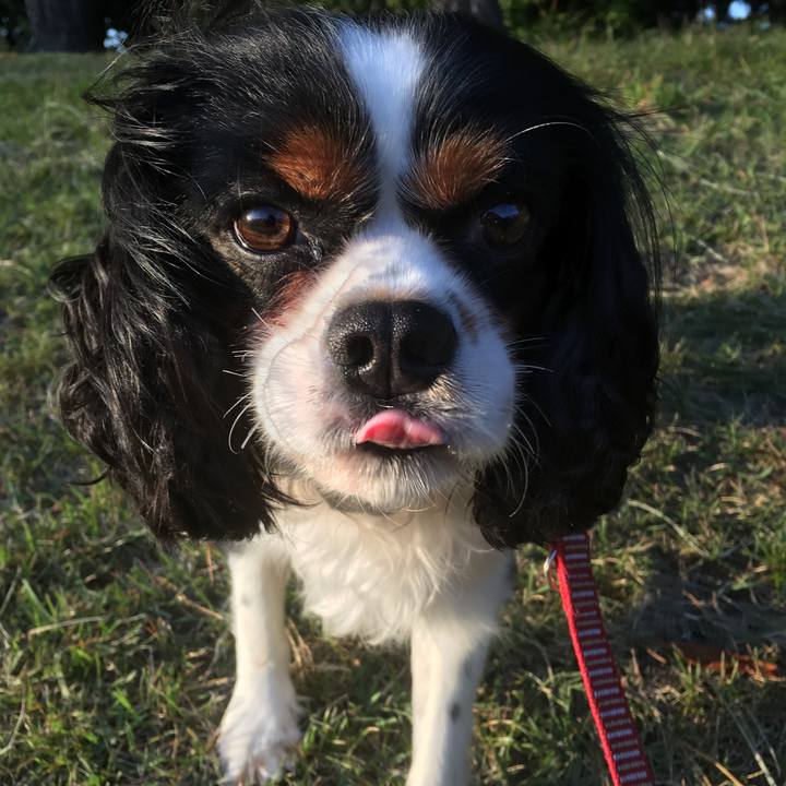 Ef0bcfec 823a 4953 b8de 9c6eb3980865