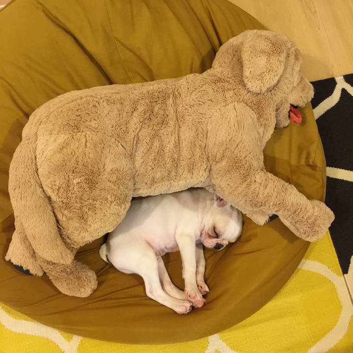 Ef0bdf78 e216 44d2 8e5a 8552ffca3747