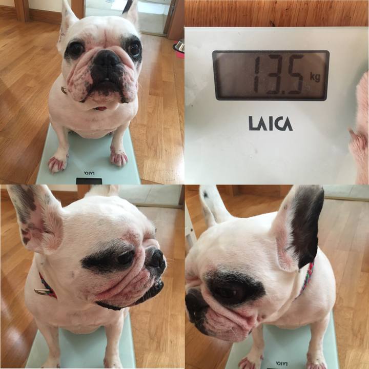 Ef0de75a 5267 43eb 9d6f 5d0b35f81ff1