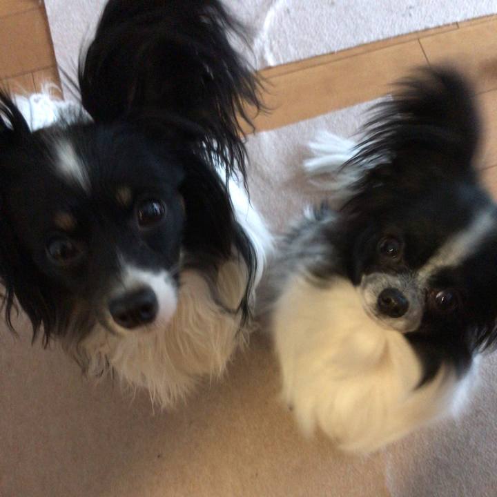 Ef0e96d7 c31e 4971 bb53 49abe9e89f19