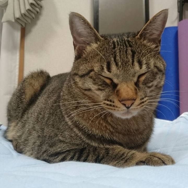 Ef1074a3 2765 47aa bec7 a17abb758716