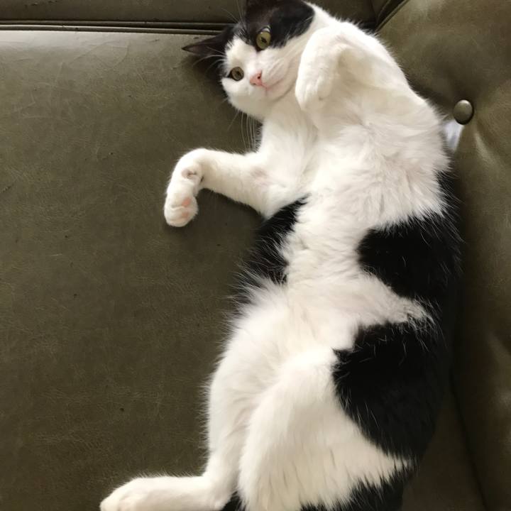 Ef112696 d44c 4a45 af44 da4a4516f3a4