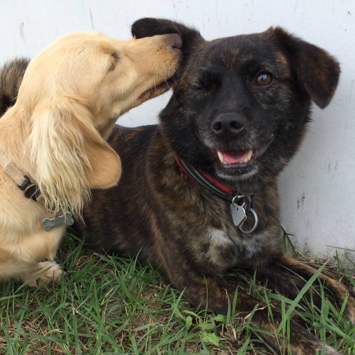 Ef113c5e 7030 43b4 af06 ea74005392de