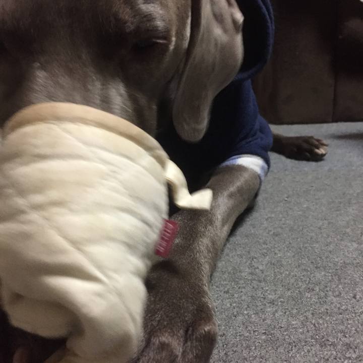 Ef117f79 1f24 40e1 89a8 1ea715d36f10