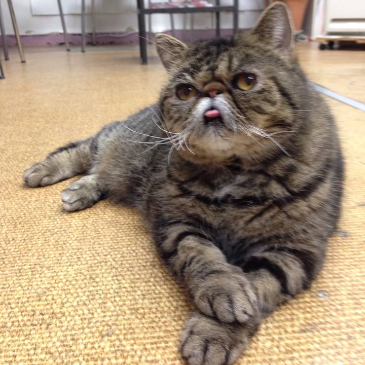 Ef12506e ee0e 4c91 9606 ce53672702dd