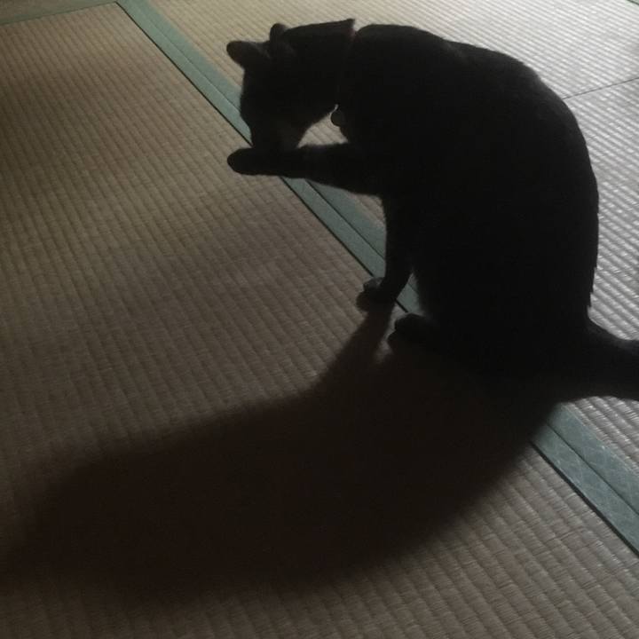 Ef148d0f 8d38 4cf6 801b ccc0068007c0