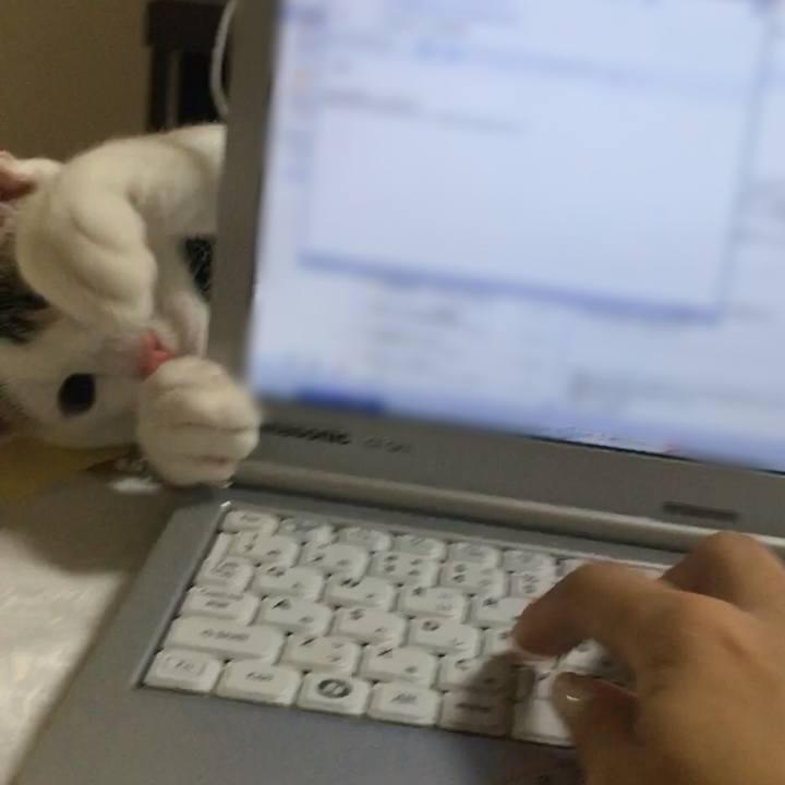 Ef15292e 59db 4142 8ba1 c63806a39e14