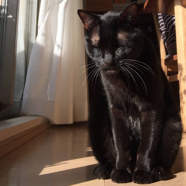 Ef15b6e6 e843 4e13 ae90 b1560c433513