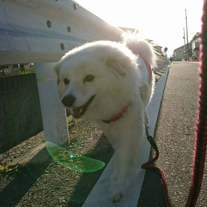 Ef15dcfc 7913 46e2 8920 e7440beff026