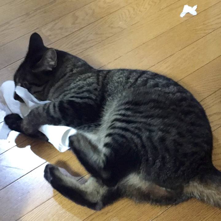 Ef15ebc3 f1a9 4331 a691 7dfcbd777de7