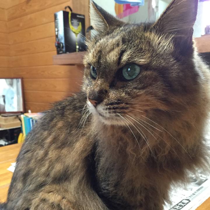 Ef164368 5b1c 40da aed1 30e64bc6329c