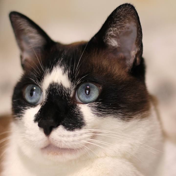 Ef1696ed 41c9 4ebe aa13 a8b8a3897f9f