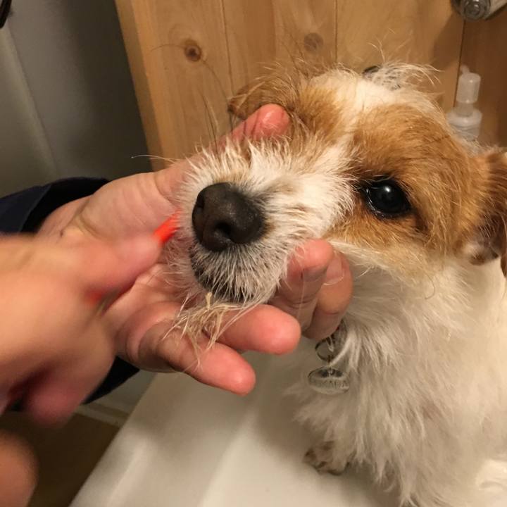 Ef17a3eb 51cd 4884 9e45 0837876ba28c