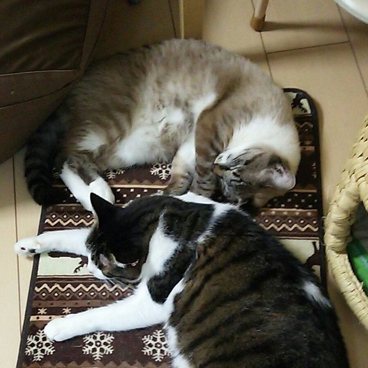 Ef17ad7f db24 407a 9db7 a31efe165619