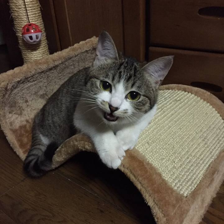 Ef17fce5 17c5 4f6a ba15 88dcc68eefb6