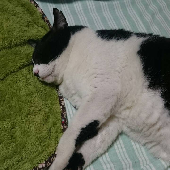 Ef184790 91c5 4372 8f69 621059447c4d