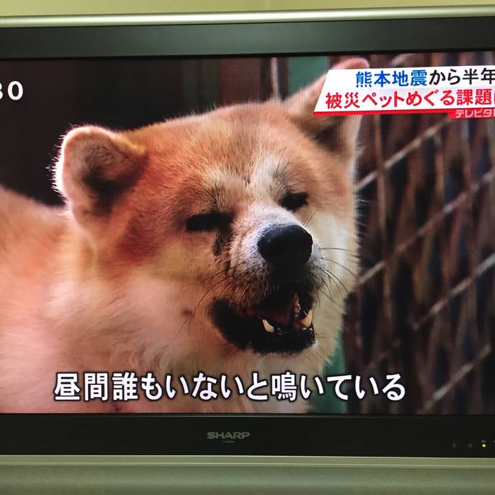 Ef18a17d aaa0 4c86 9423 8f93aa6c4b28