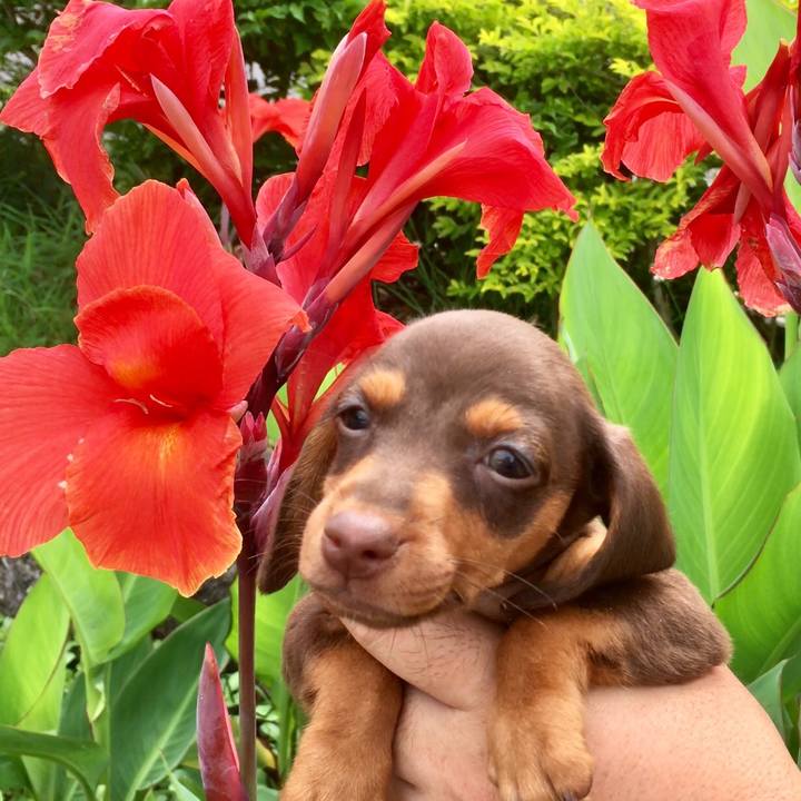 Ef193483 c0f2 4782 9e31 d3cf4dafd855