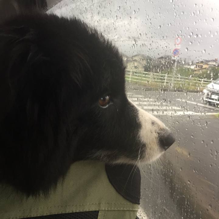 Ef196bf1 bc86 4858 a531 eb4bd93ee92c