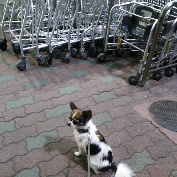 Ef197af8 3f46 47d8 9742 270d1576634d