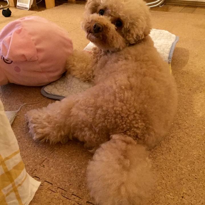 Ef1a3352 dde3 414f 8124 99ea6691bef6