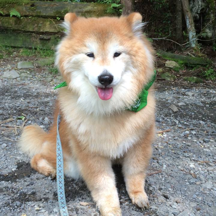 Ef1a6749 3286 426a ba3c 95cda957e964