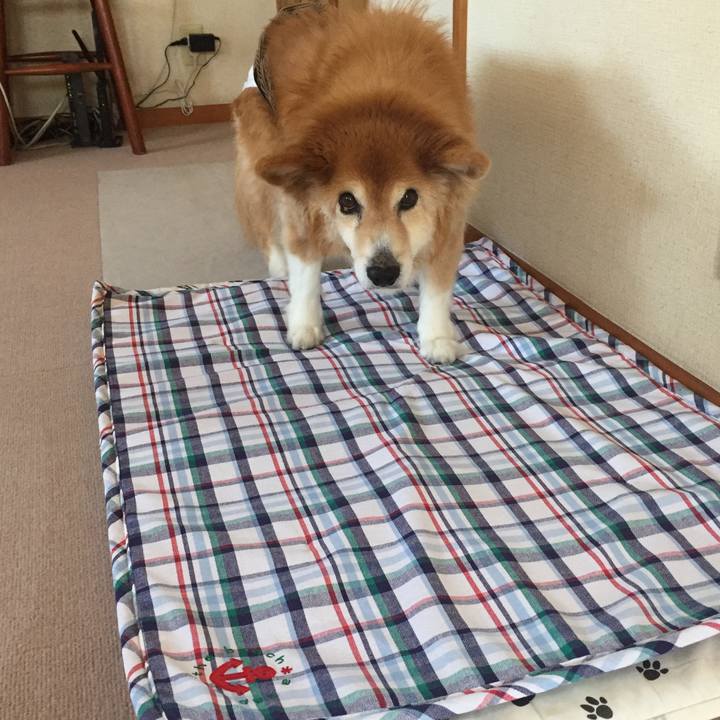 Ef1af306 cc8a 4144 96cd 56119df7a3d6