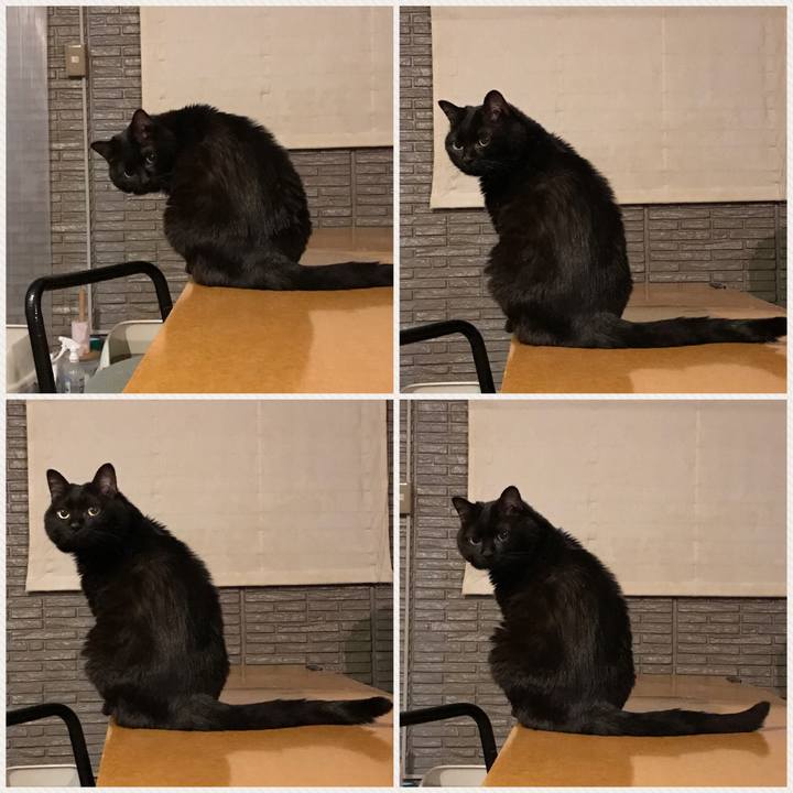 Ef1b0376 6711 479e ac61 c5833deb7af4