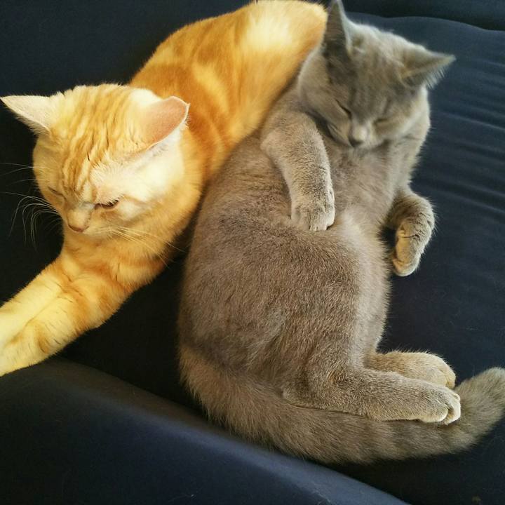 Ef1bab8d 8158 4fc3 943a 8a153cf970d7