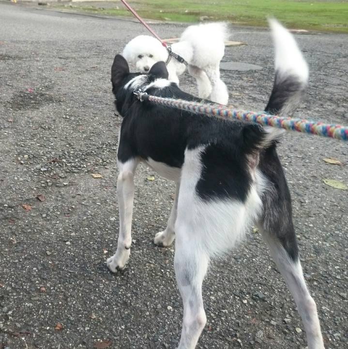 Ef1be3c0 3deb 47ea 9516 db79d106a587