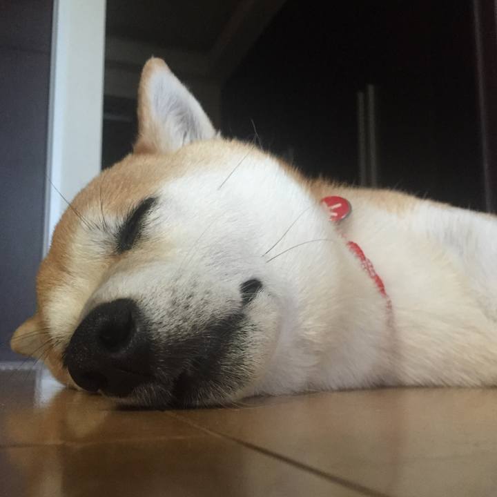 Ef1c610f 4b2b 40fe 9237 a882a6471fe7