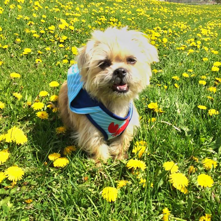 Ef1caaa4 00a7 4509 9b7f 6578c1c2a9f9