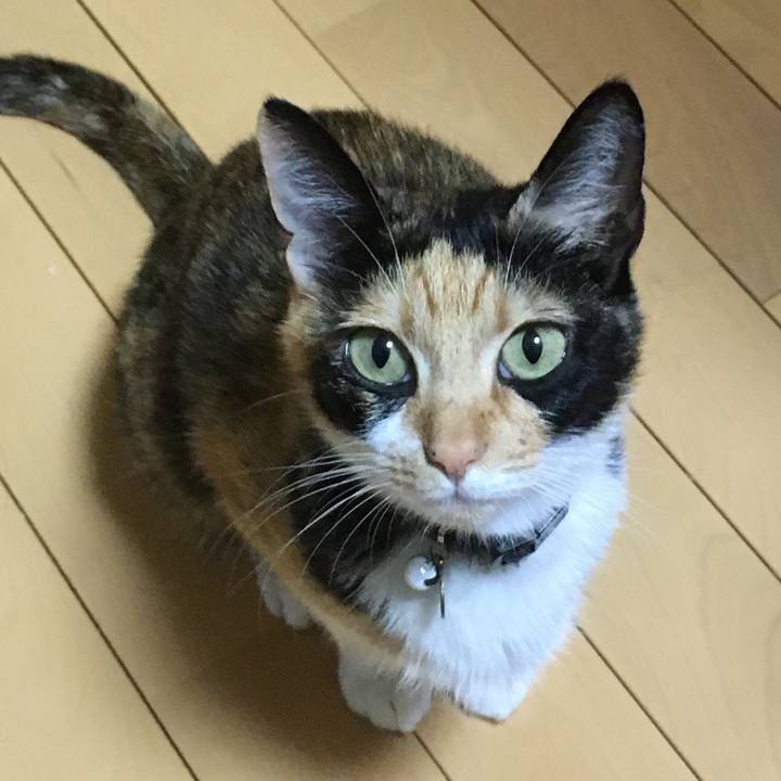 Ef1d3297 4d75 408b b23d 29c49f735884