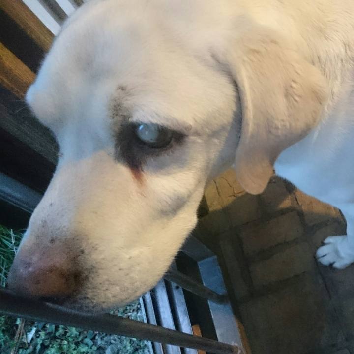 Ef1e2d5b 06ce 4b54 81f1 467c0ddd4560