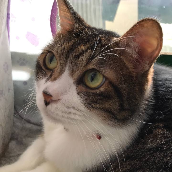 Ef1e7f45 0cee 4b22 b745 c5e0f9bb9c34