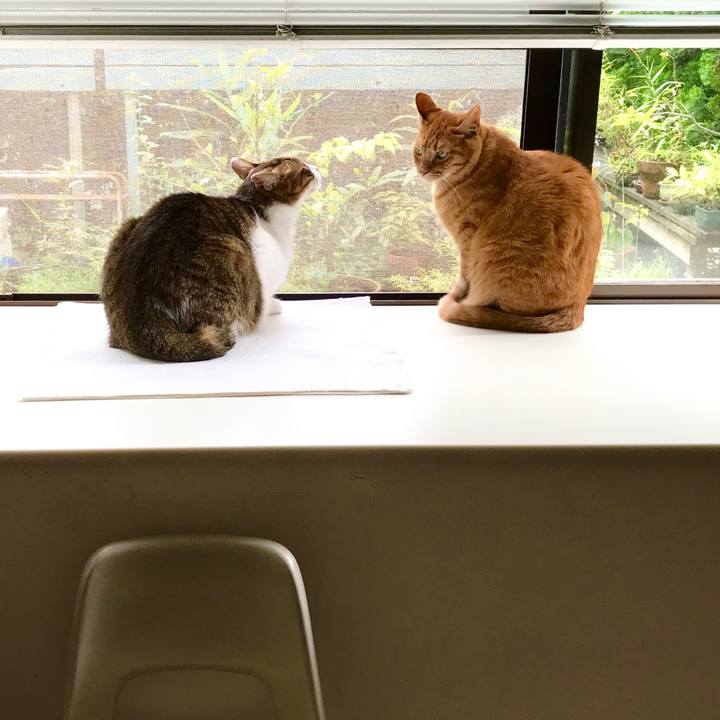 Ef1edecc 0bfd 4220 ab38 a0b595bbc6a8